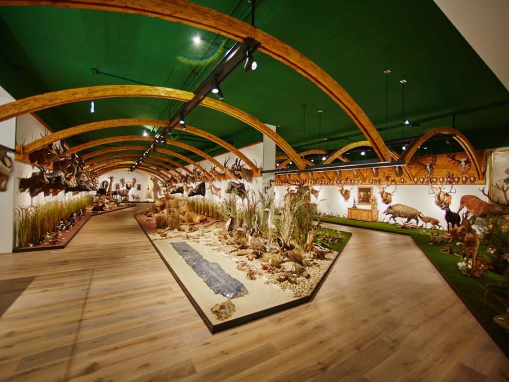 Arche Noah Kunst und Naturmuseum in Hohenems